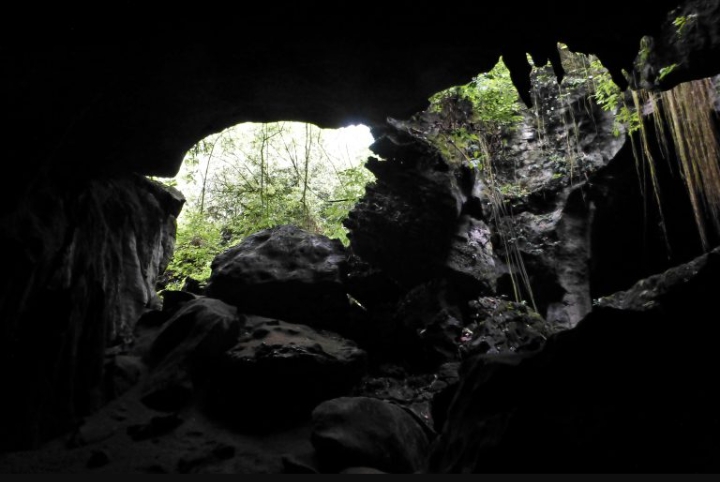 Bat Cave And River Swimming