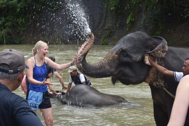 Elephant Sanctuary