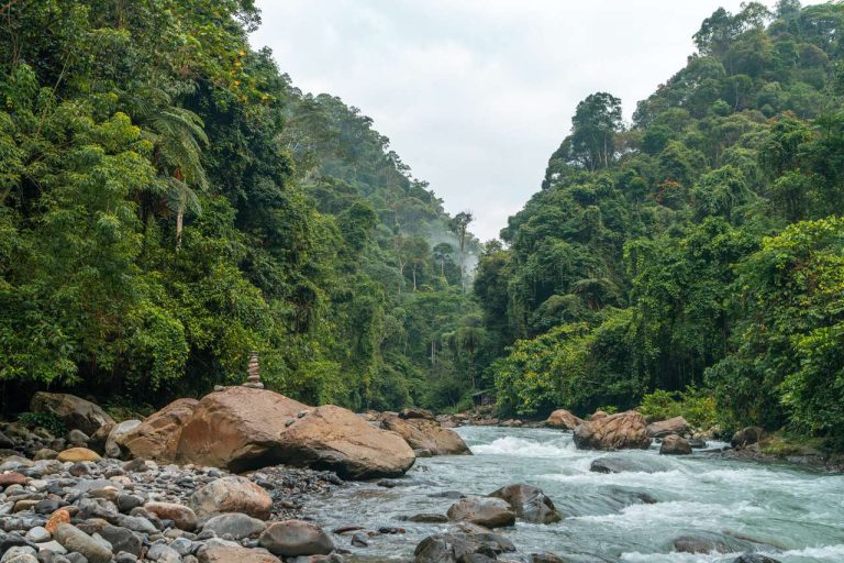 2 Day, 1 Night JungleTrek