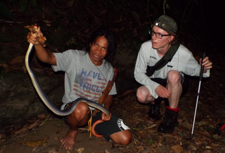 Special Tracking - See The Snake