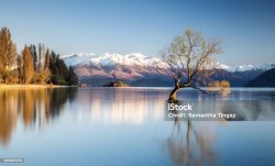 Lake Wanaka, New Zealand - Famous Wanaka Tree (South Island)